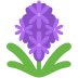 :hyacinth: