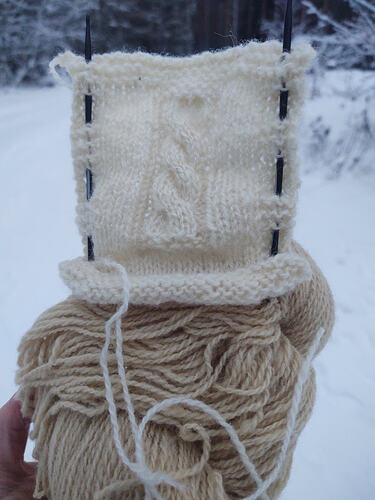 IMG_20260111_092333349