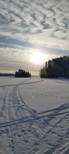 IMG_20260211_141610