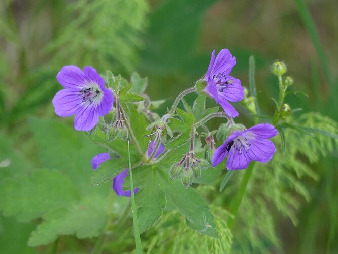 P1140066