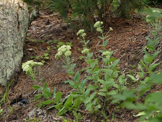 P1170044