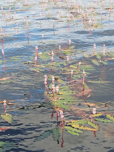 vesitatar 1.9.2025 3