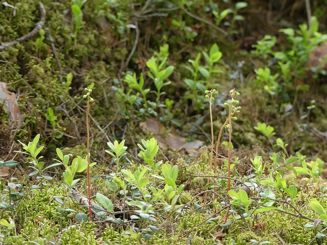 P1140035