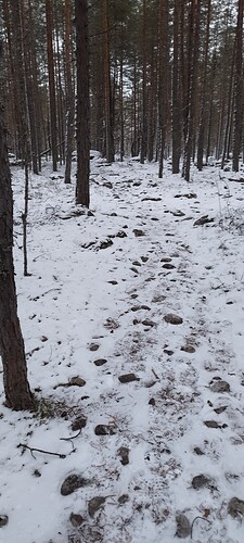 IMG_20241207_120159