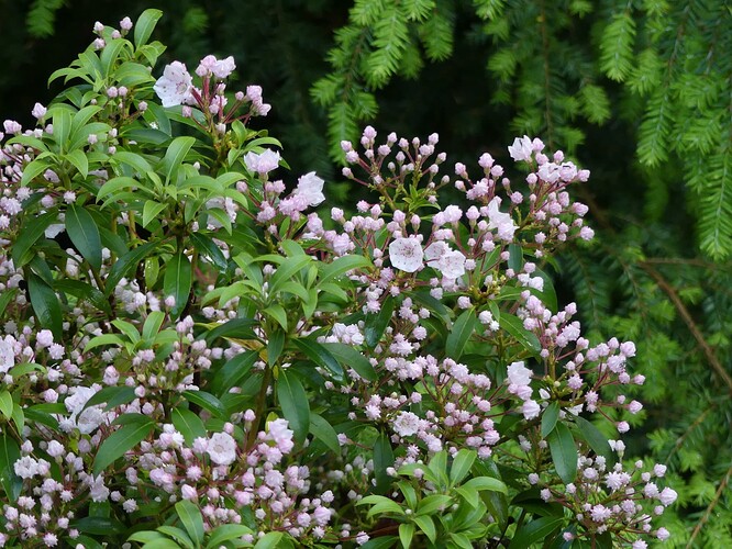 P1150719