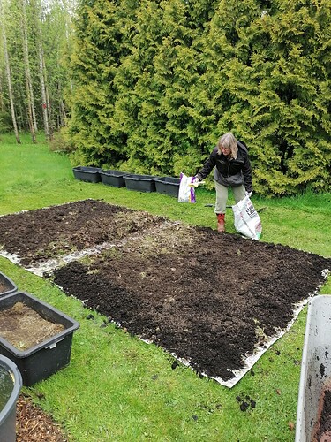 Uusi perennapenkki pihaan 25.5.2025 4