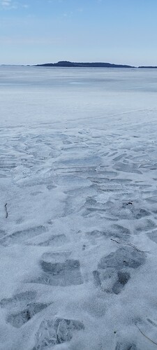 IMG_20250330_142240