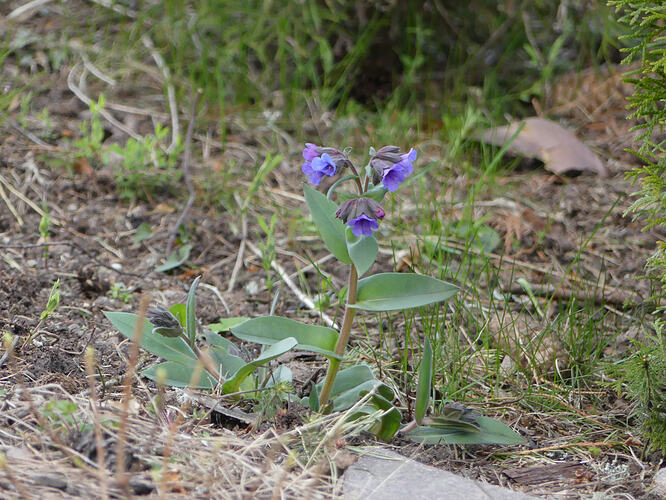 P1170974