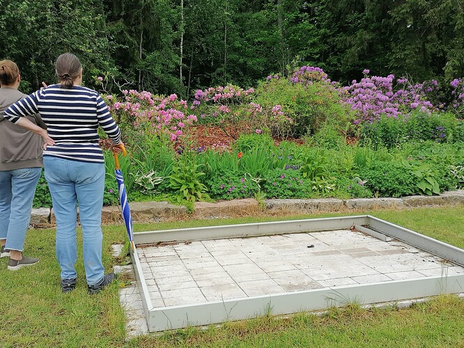 Taimivaihto 18.6.2025 Hennin luona 10