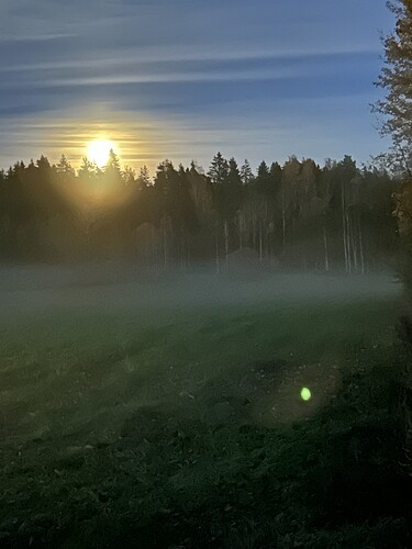IMG_2704