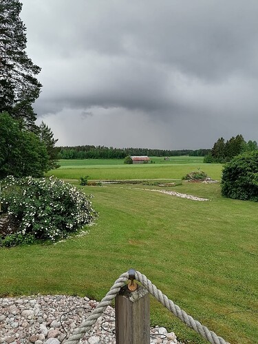 Taimivaihto 18.6.2025 Hennin luona 17