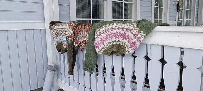 IMG20260106102110 (1)