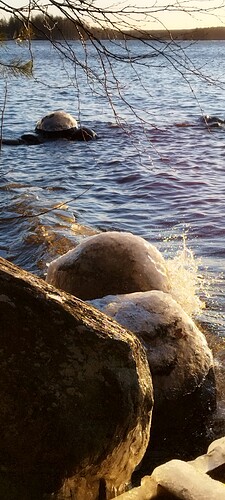 IMG_20241211_125050