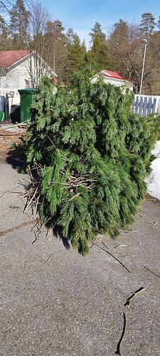 IMG_20250402_144341