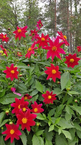 IMG-20230823-WA0020