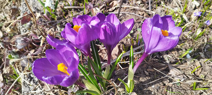 IMG_20260416_123824