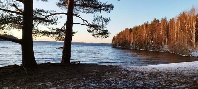 IMG_20241211_134158