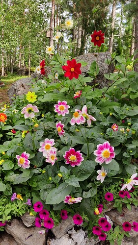 IMG-20240823-WA0043