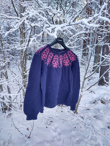 IMG_20260108_111625784_HDR