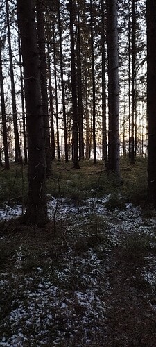 IMG_20241215_141940