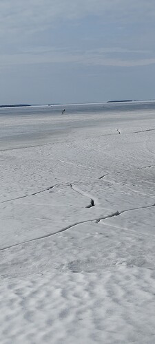 IMG_20250331_151153