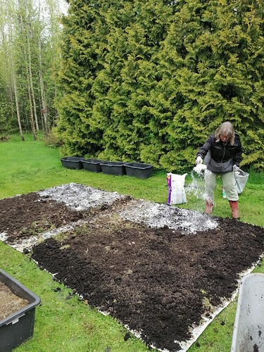 Uusi perennapenkki pihaan 25.5.2025 5