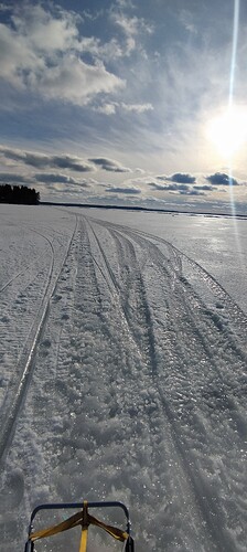 IMG_20250309_145921