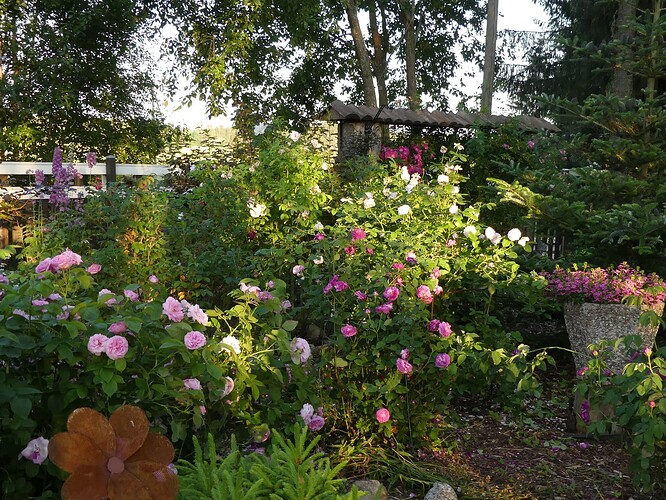 P1160637