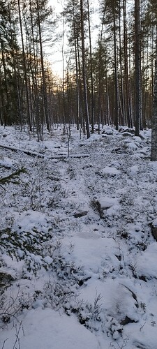 IMG_20241209_134616