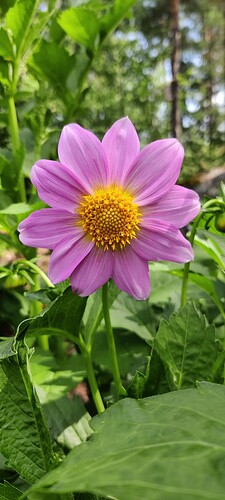 IMG_20250714_122556