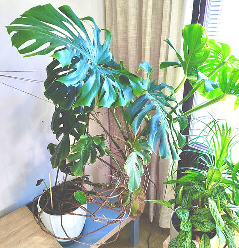 e9415e01-8173-4142-af4d-5b4260f1091f 2