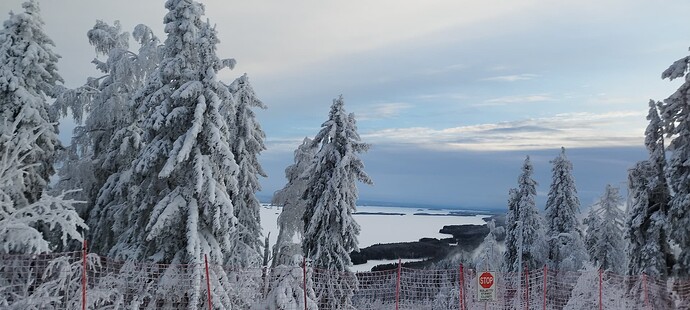 IMG_20250111_110111