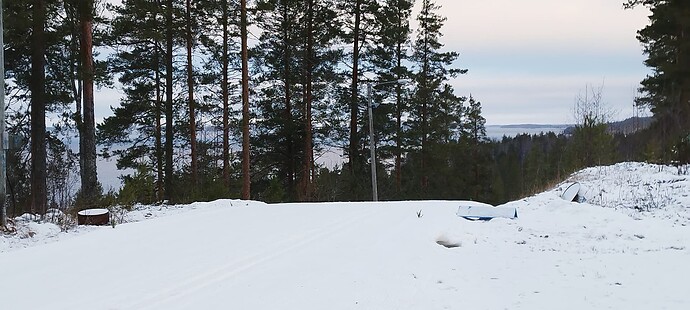 IMG_20241210_154600