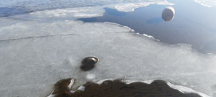 IMG_20260324_142245