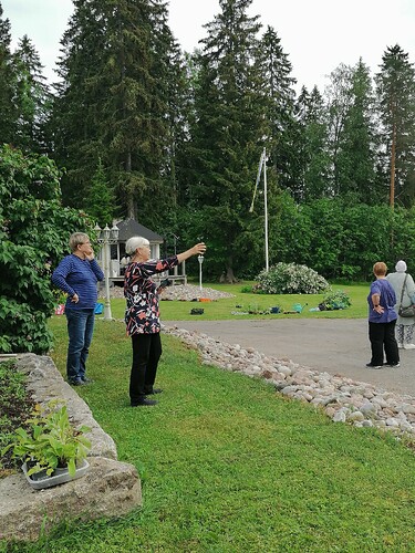 Taimivaihto 18.6.2025 Hennin luona 9