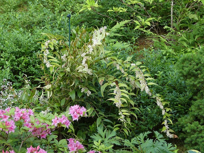 P1150233