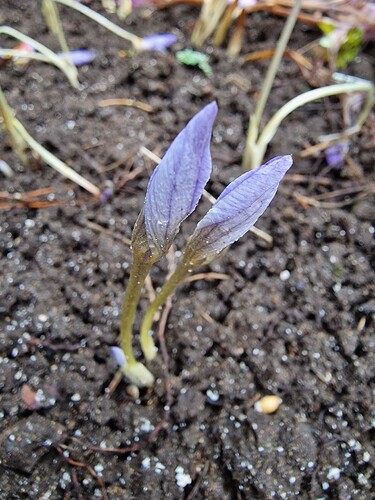 25968da3-4a6b-4cb6-8b89-f40a4b139c5b-1_all_63337