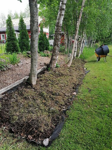 Marjatarhapuolen perennapenkin valmistelua 28.6.2023