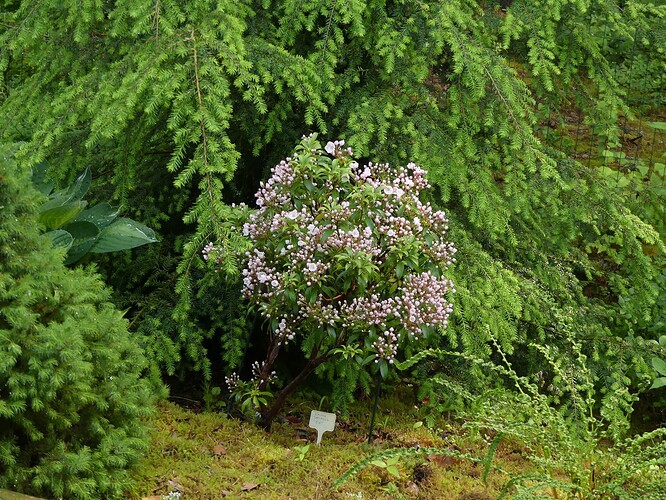 P1150717