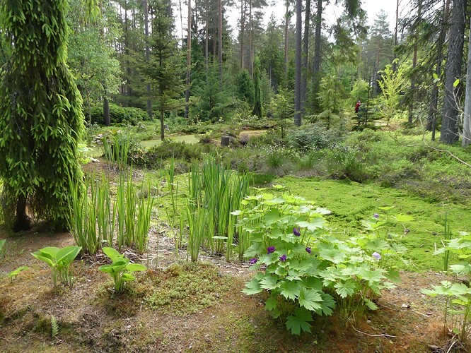P1140319