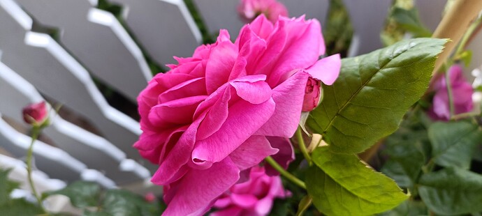 IMG20250719081523