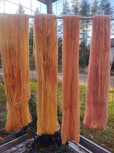 IMG_20251001_161146766