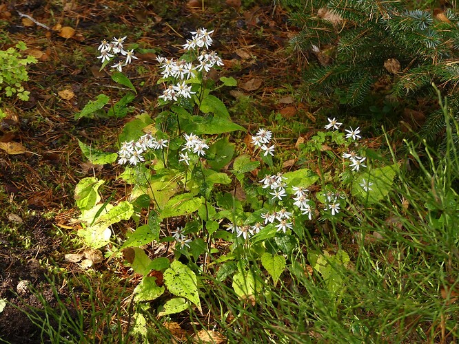 P1170680