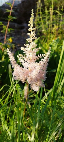 IMG_20230807_182538