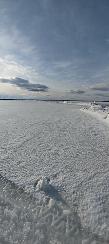 IMG_20250309_145925