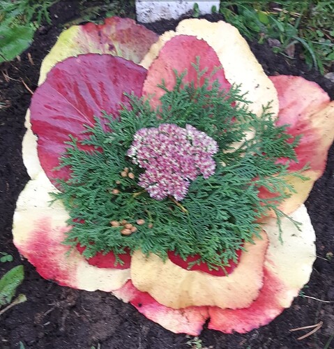 Screenshot_20250927-190322_Gallery