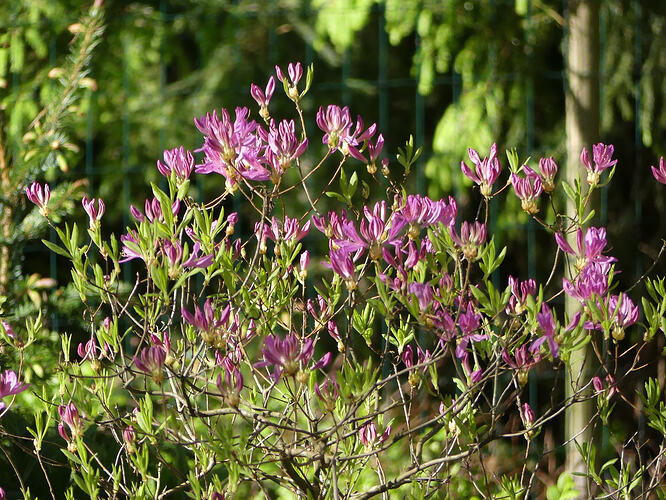 P1180480
