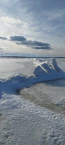IMG_20250309_150123