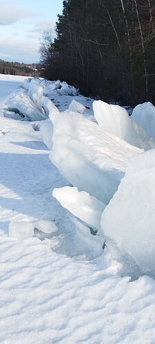 IMG_20250309_150532