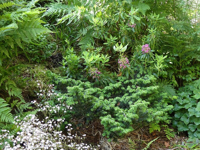 P1160023